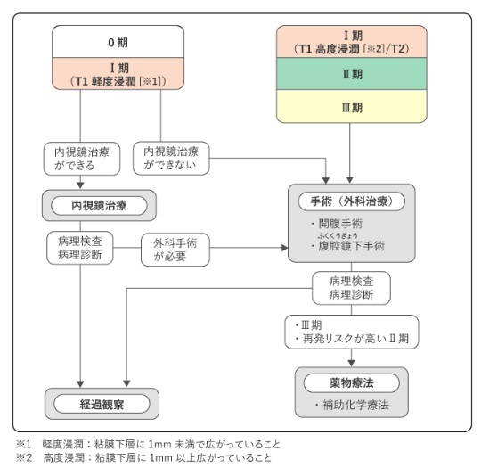 ステージ0～Ⅲの大腸がん治療の選択（国立がん研究センターのホームページより）