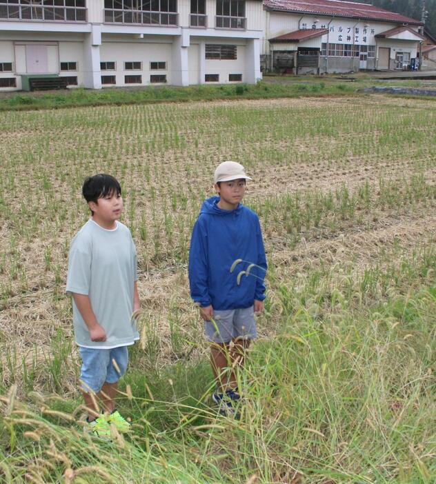 高齢女性が倒れていた水田で、当時の状況を振り返る橘桐真さん（左）と佐藤蒼介さん＝魚沼市親柄