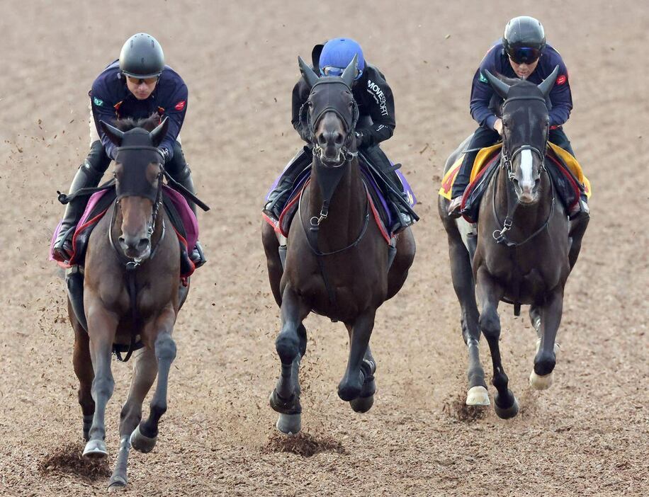 ヘデントール（中）＝美浦トレセン（撮影・塩浦孝明）