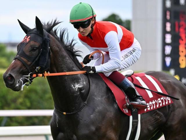 GI初制覇を目指すショウナンラプンタ(今年9月撮影、ユーザー提供：きゃっぷさん)