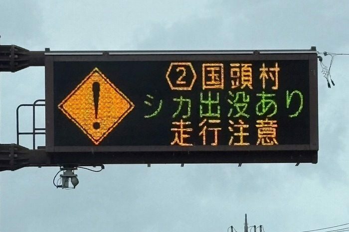 シカの飛び出しへの注意を呼び掛ける電光掲示板＝25日、国頭村