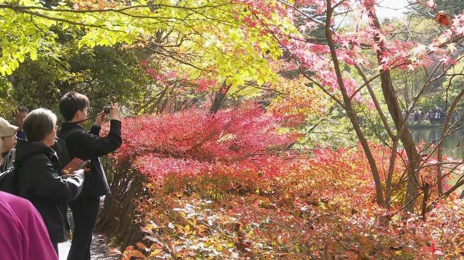 雲場池（長野県軽井沢町）