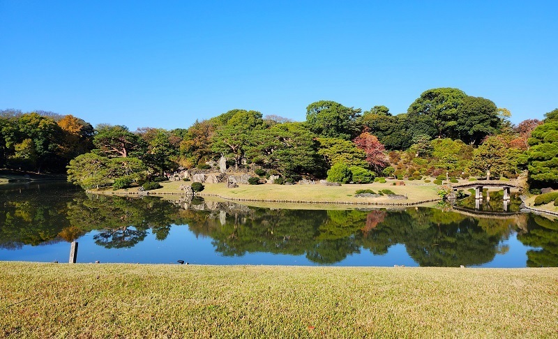 中の島を有する六義園