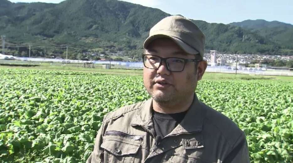 JA福岡市 金武かぶ部会　冨永亮太 部会長