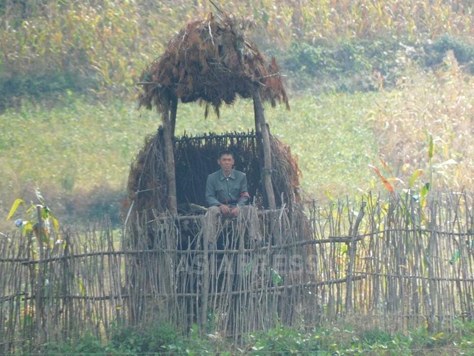 住民の脱北と畑の作物泥棒の監視のために作られた「見張り台」。民間武力の「労農赤衛隊」の農場員とみられる。2023年9月下旬に平安北道の朔州郡を中国側から撮影アジアプレス