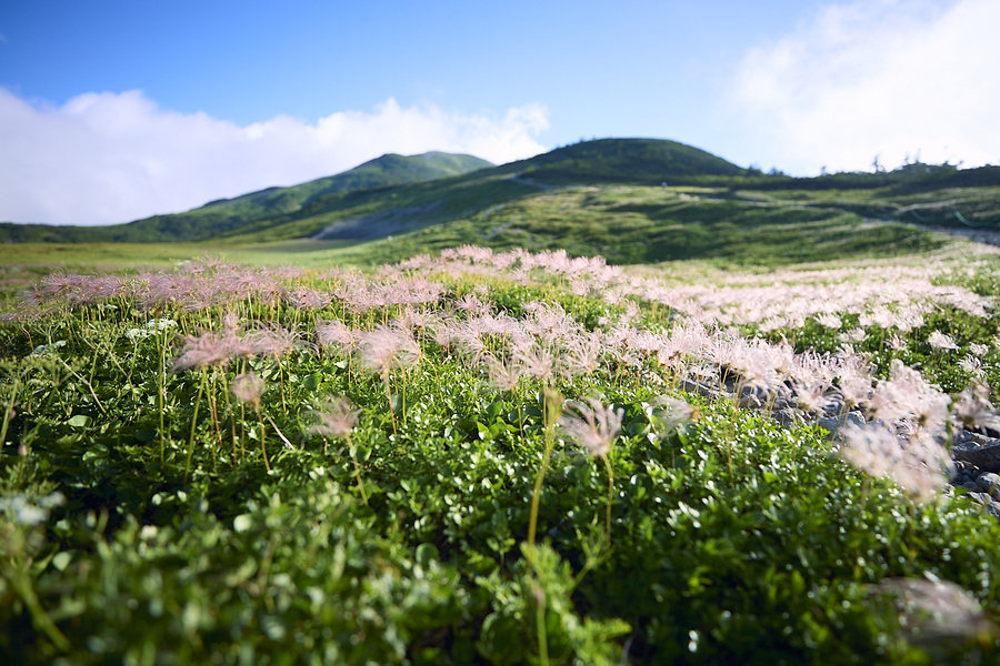 写真：PEAKS