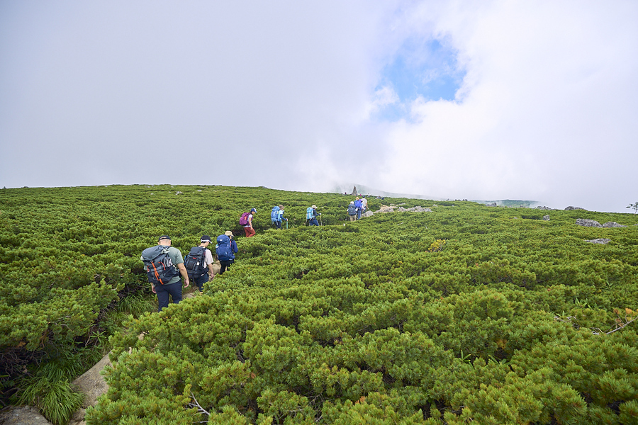 写真：PEAKS