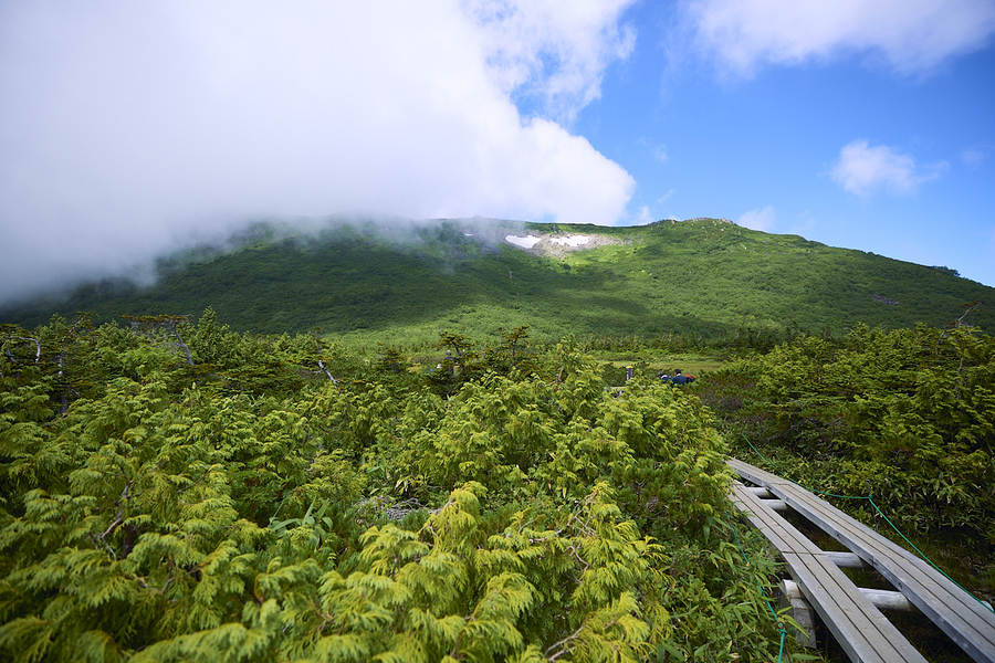 写真：PEAKS