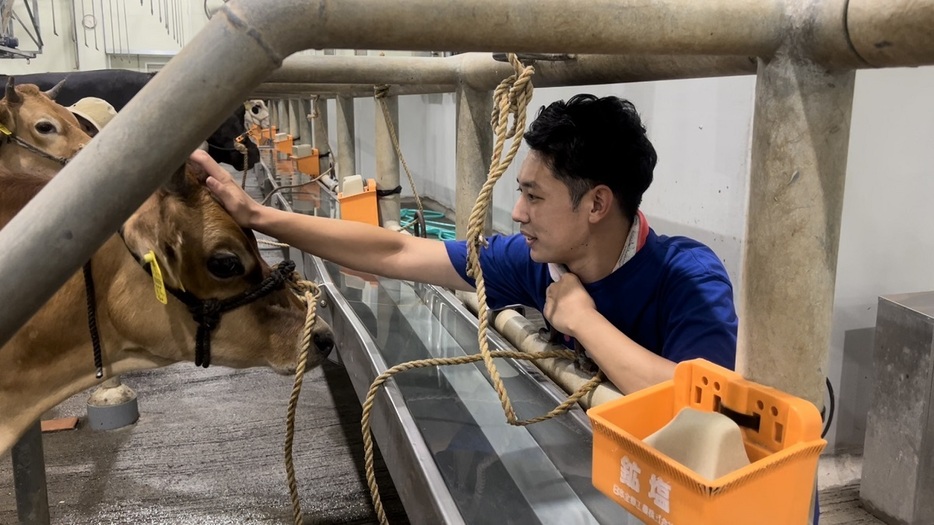 動画「1週間牛飼い生活」の取材では、牧場で牛の世話を体験しながら、食用の肉になるまでの過程を追った（本人取材）