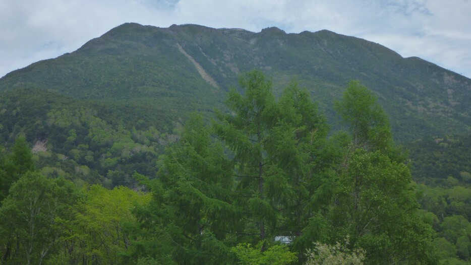 資料　八ヶ岳連峰北横岳