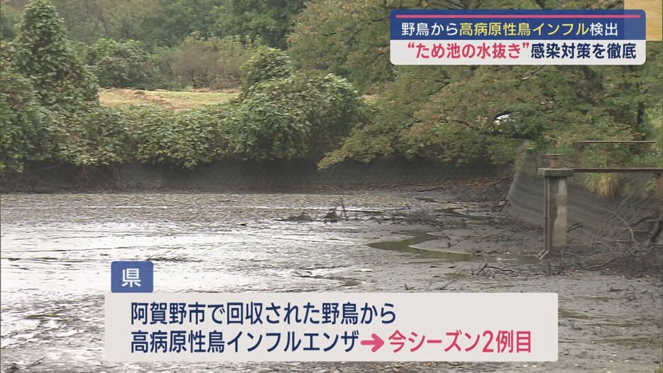 被害防止のために池の水を抜く