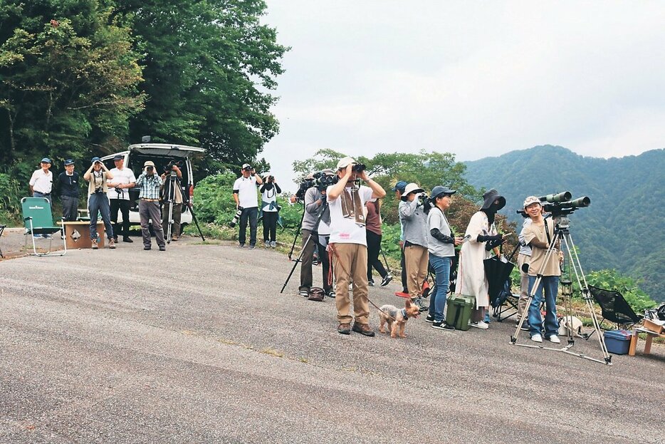 イヌワシ保護協会が黒部市宇奈月温泉周辺で行ったイヌワシの観察会＝２０２３年９月