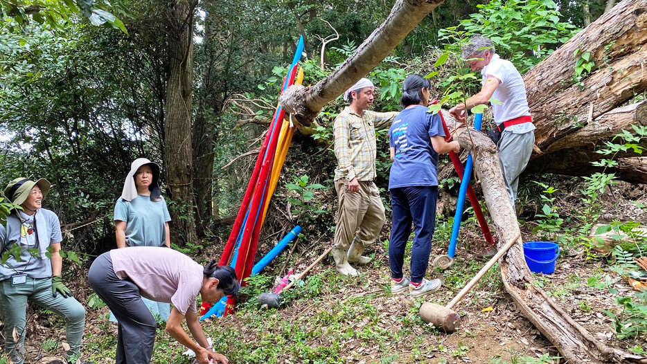 3色に塗った杭で倒木を支える作業をする会員ら＝南房総（ヤマナハウス提供）