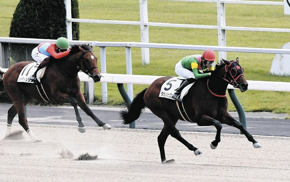 ２歳新馬戦を制したタガノバビロン（右）