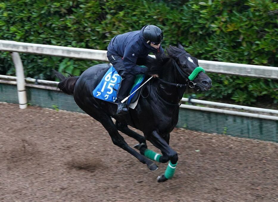 アグリ＝栗東トレセン（撮影・岩川晋也）