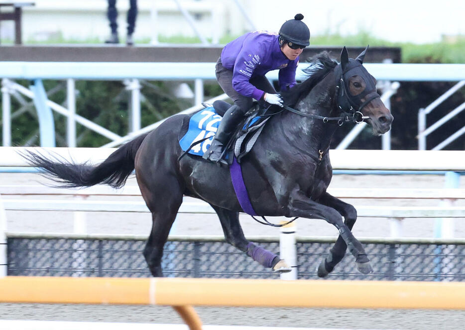 ポリトラックで追い切るセレシオン