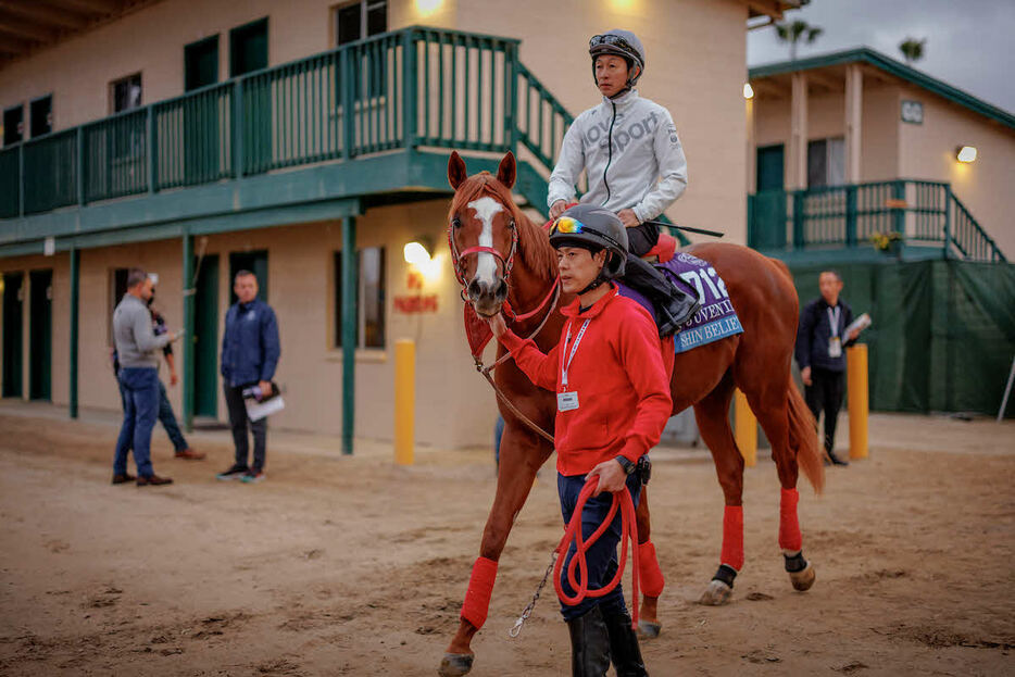 馬場に向かうシンビリーブと武豊騎手（C）Evers／Eclipse　Sportswire／Breeders　Cup