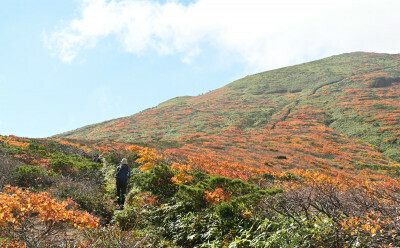 見頃を迎えた栗駒山の紅葉＝１３日、一関市