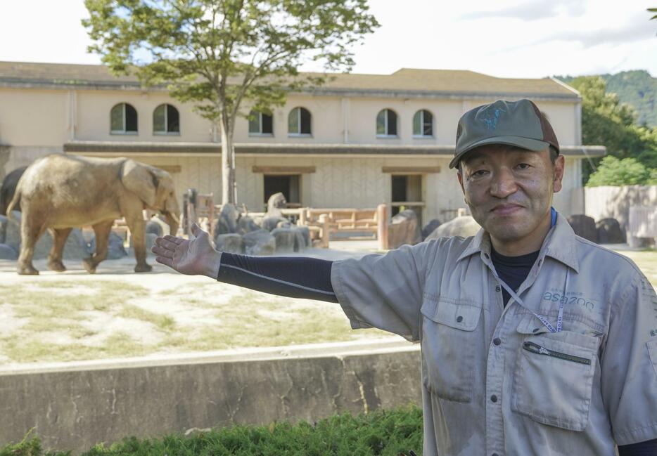 マルミミゾウ「メイ」（奥）の世話をする飼育技師の佐々木直行さん＝2024年9月、広島市の安佐動物公園