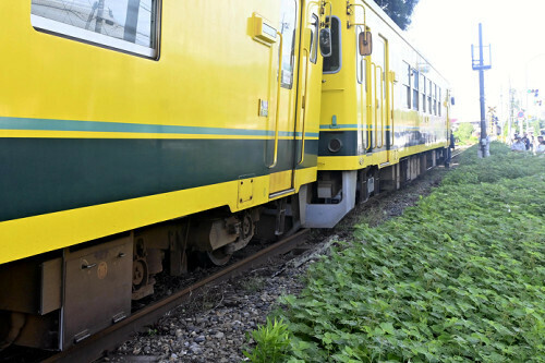 脱線したいすみ鉄道の列車（４日午前、いすみ市で）