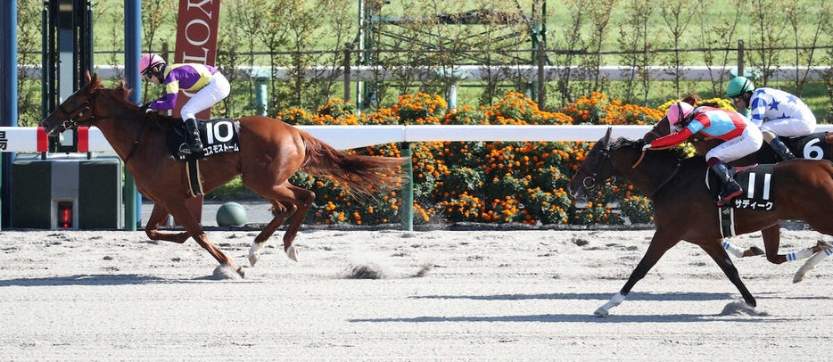 ＜京都8Rなでしこ賞＞2着に2馬身の差をつけゴールするコスモストーム（左）（撮影・奥　調）