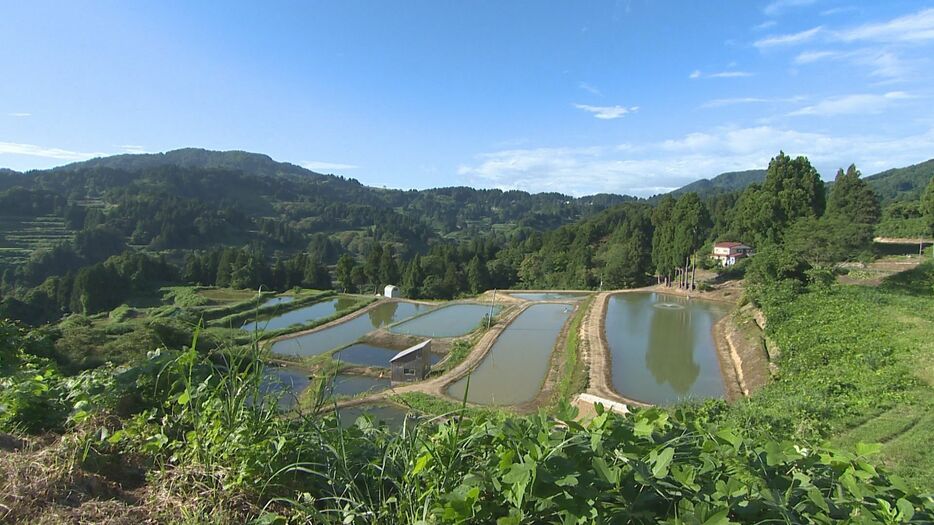 山古志を未来へ