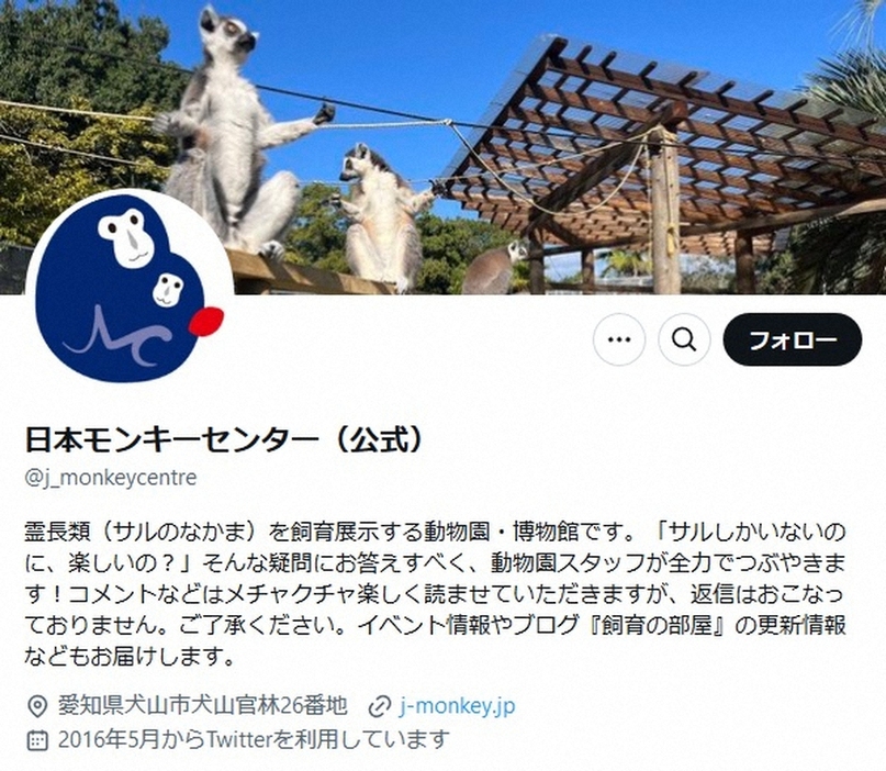 日本モンキーセンターの公式X（@j_monkeycentre）より