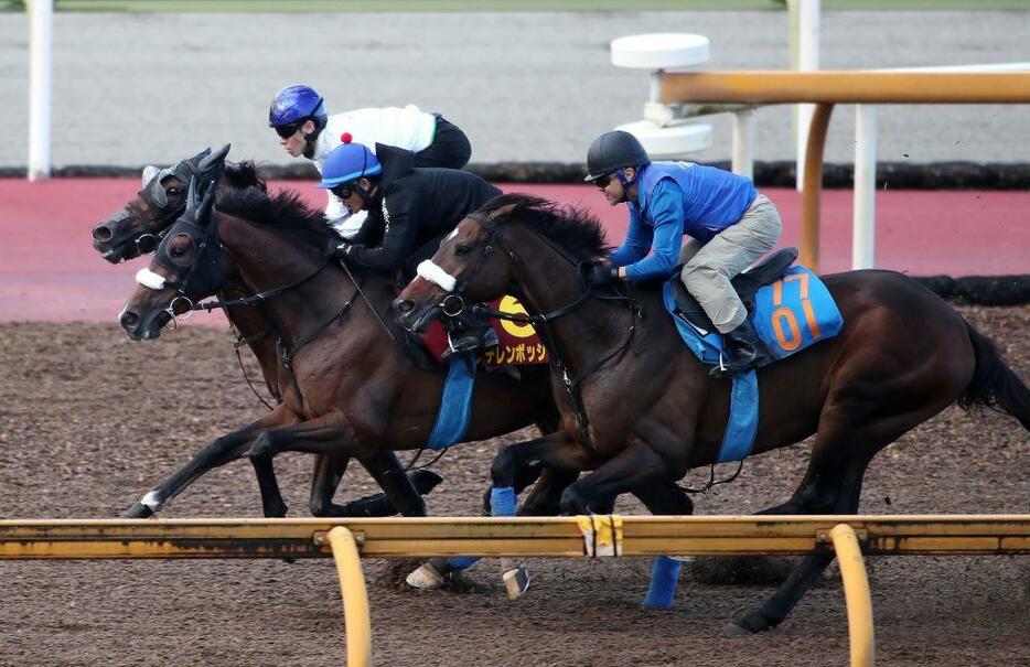 得意の栗東滞在で2冠目奪取を狙うステレンボッシュ（中）