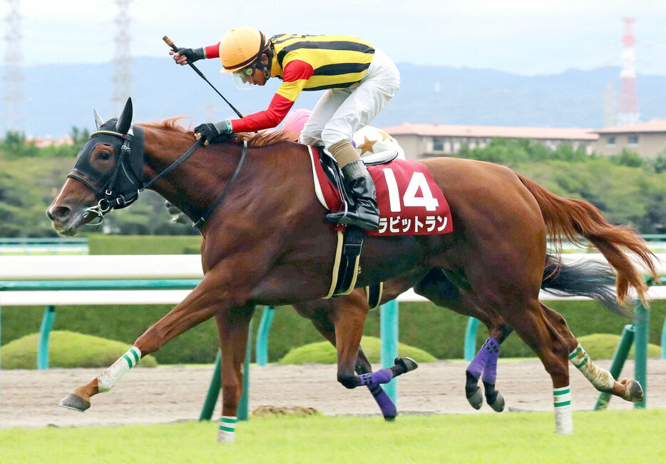 ファジーロップの母ラビットラン（手前）は芝とダートで重賞を勝利（写真は２０１７年ローズＳ）