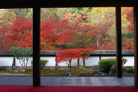 正暦寺の紅葉。