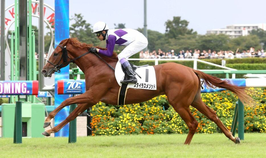 スタイラスメソッド＝中山競馬場（撮影・塩浦孝明）