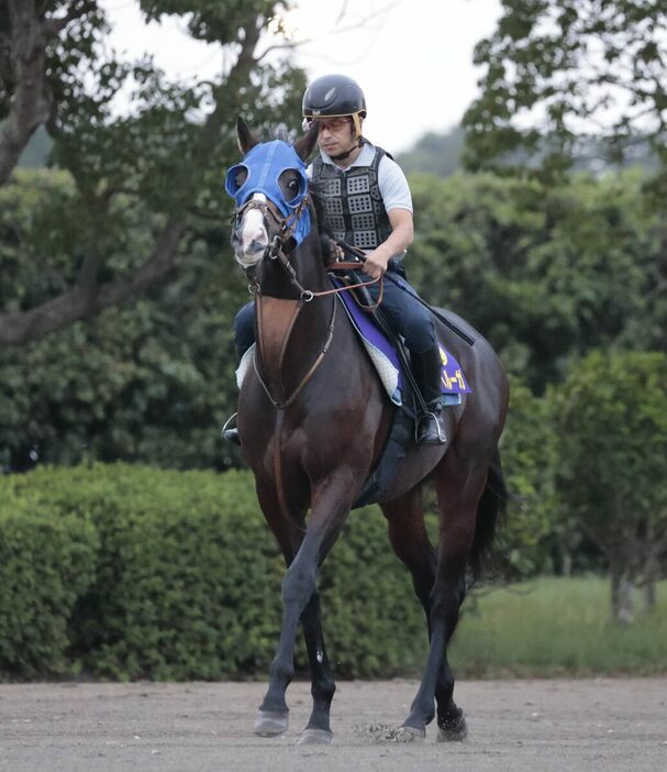 馬トク激走馬に算出されたダノンベルーガ（カメラ・荒牧　徹）