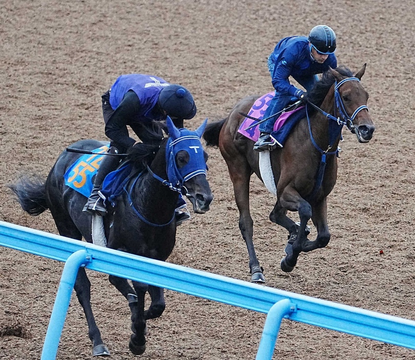 ウッドチップコース、併せ馬で追い切るブラウンラチェット（右）（撮影・郡司修）