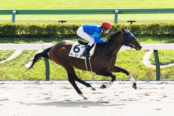 10月14日東京4R・新馬戦を勝利したベンヌ