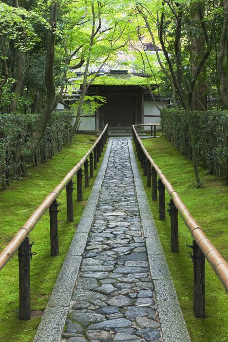 大徳寺 高桐院／B.S.P.I.//Getty Images