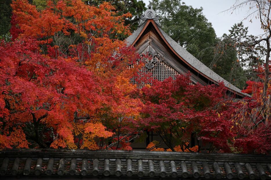 南禅寺の紅葉／Masako Ishida//Getty Images