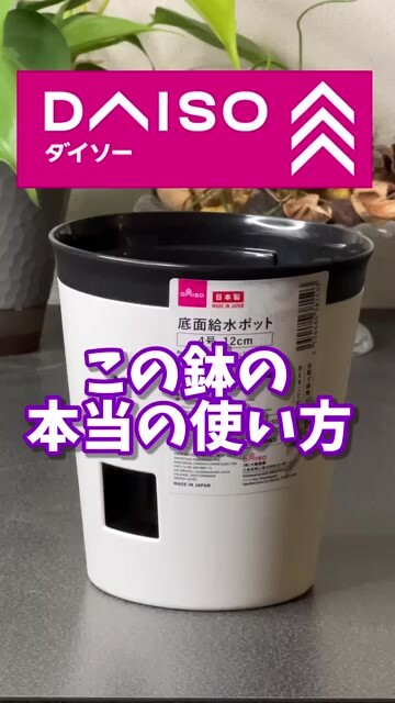 底面給水ポットの本当の使い方をご紹介