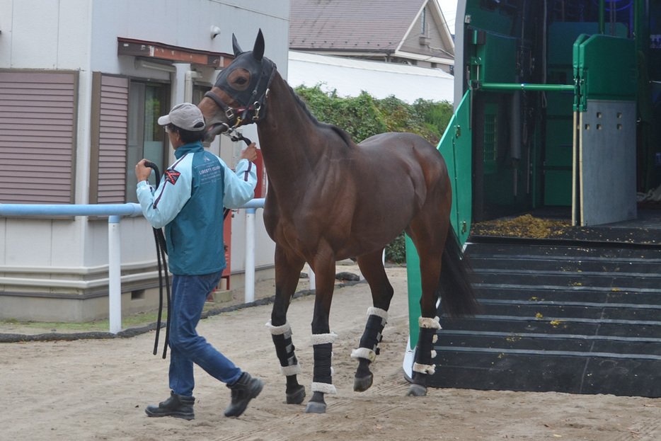 東京競馬場に到着したリバティアイランド