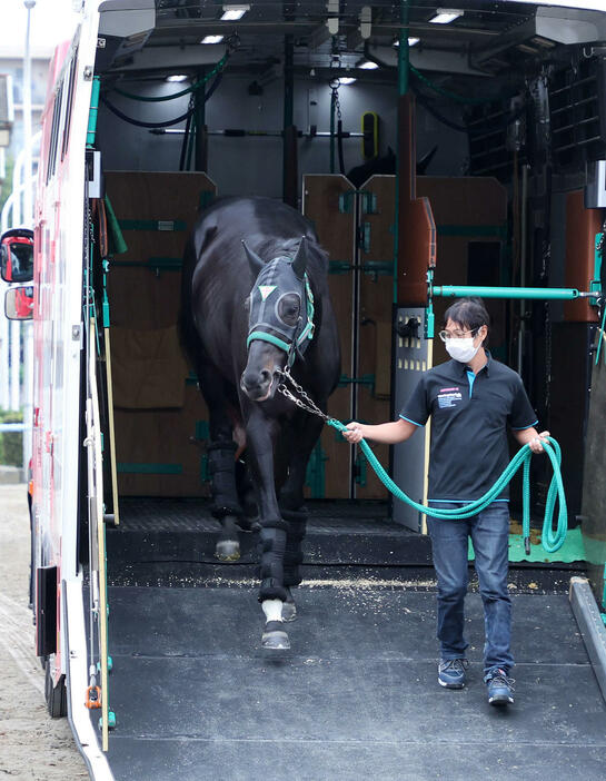 東京競馬場に到着したジャスティンパレス（撮影・鈴木正人）