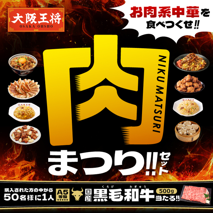 「大阪王将 肉まつりセット」通販で発売