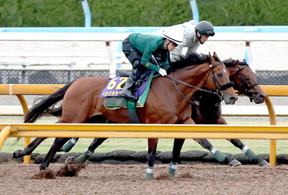 ＣＷコースをセオ（右）と併せ馬で追い切るベラジオオペラ