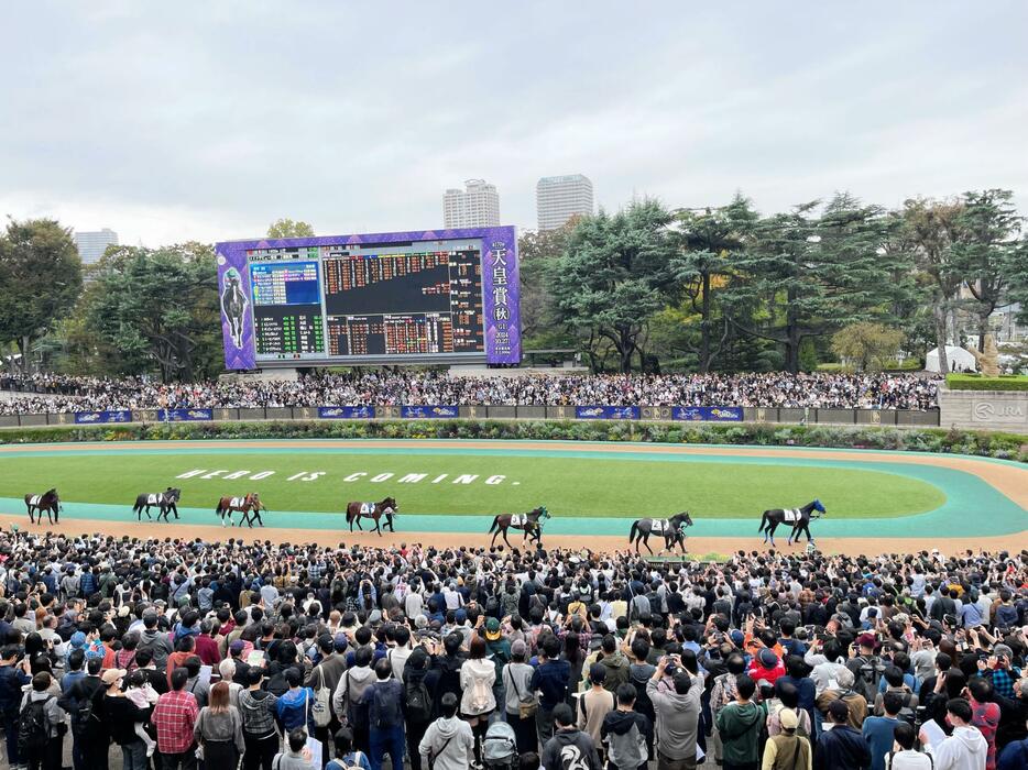 　東京５Ｒの新馬戦でアーモンドアイの初子アロンズロッドを目当てに多くの人が集まったパドック