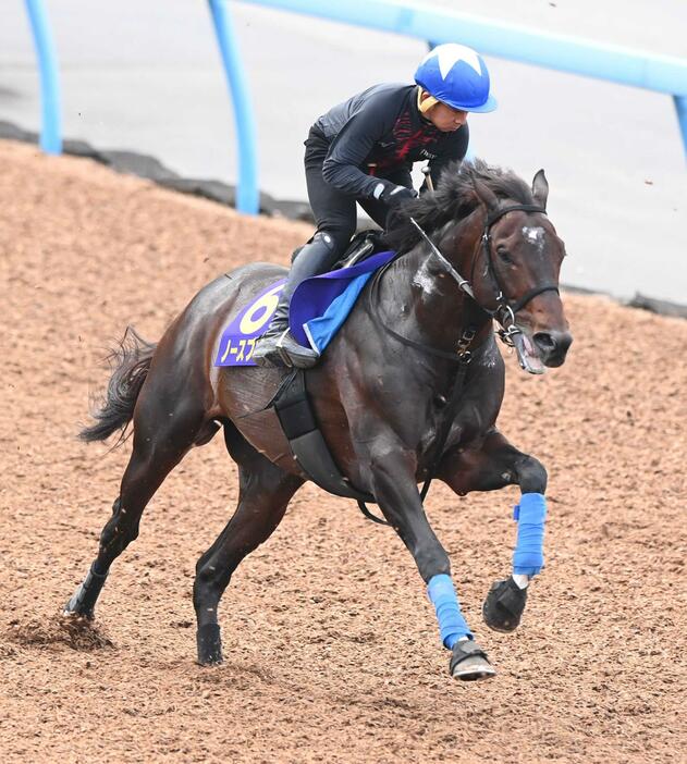 　岩田康が騎乗して感触を確かめたノースブリッジ（撮影・園田高夫）