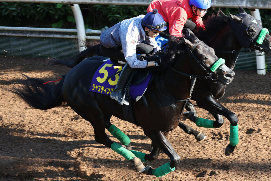 ジャスティンパレス（手前）