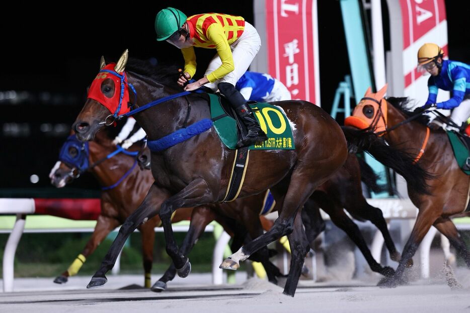 ヤングジョッキーズTR大井第1戦・トーセンアマンダと鷹見陸騎手 (C)NAR地方競馬全国協会