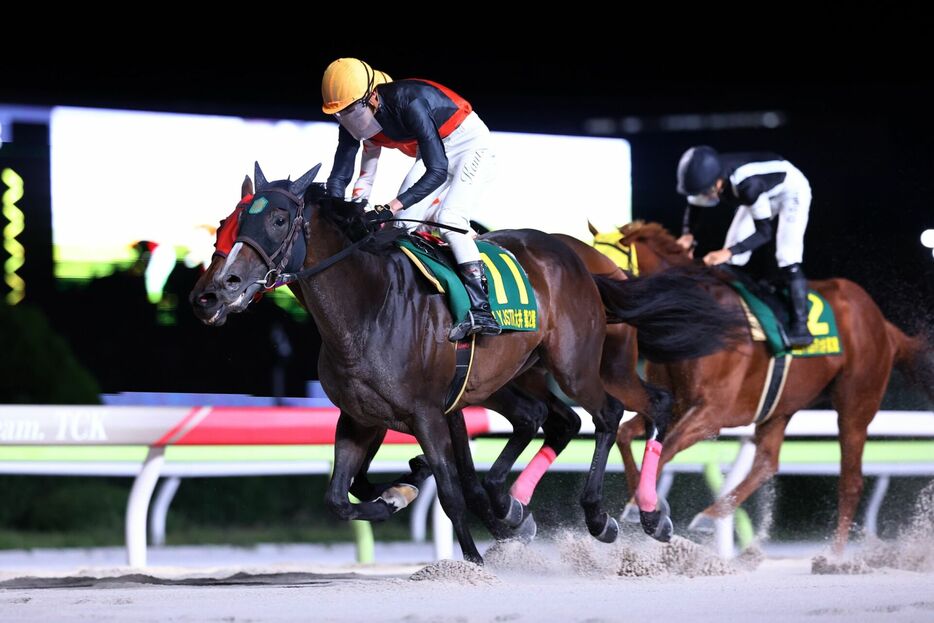 ヤングジョッキーズTR大井第2戦・ボラボラフレイバーと谷内貫太騎手 (C)NAR地方競馬全国協会