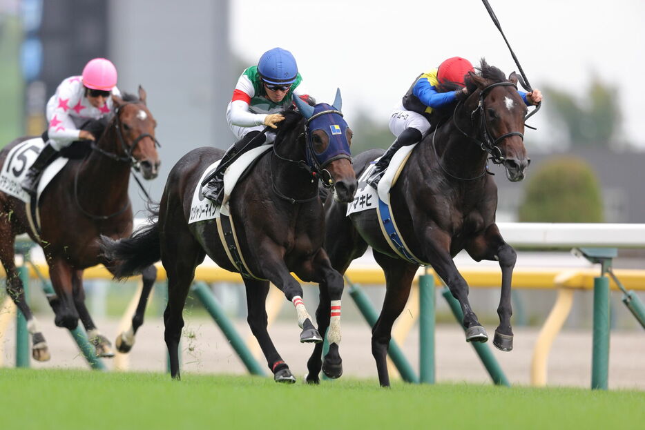 東京5R・アマキヒとC.デムーロ騎手