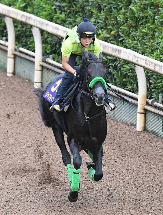 　栗東坂路で追い切るジャスティンパレス（撮影・石井剣太郎）