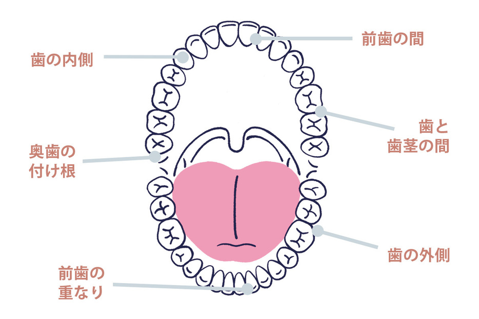 引用元：美ST