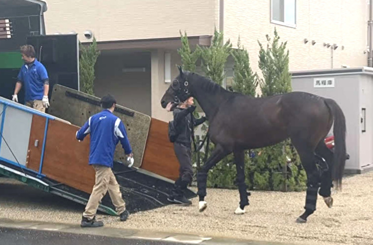 京都競馬場に到着したコスモキュランダ（撮影・太田尚樹）